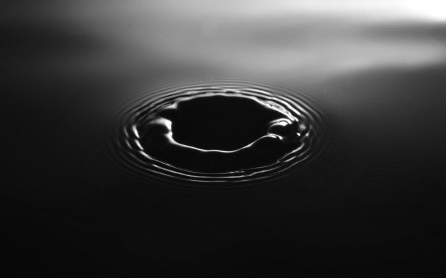photo14477